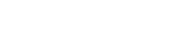 qnique-21x-elite